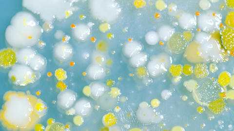 microbes