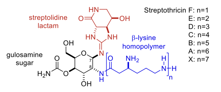 Streptothricin F