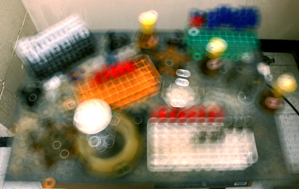 Bacterial Motions by Azul Pinochet-Barros