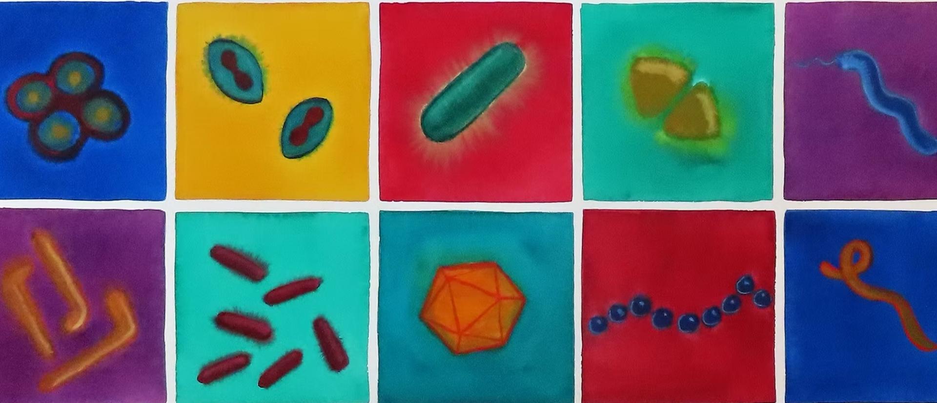microbes
